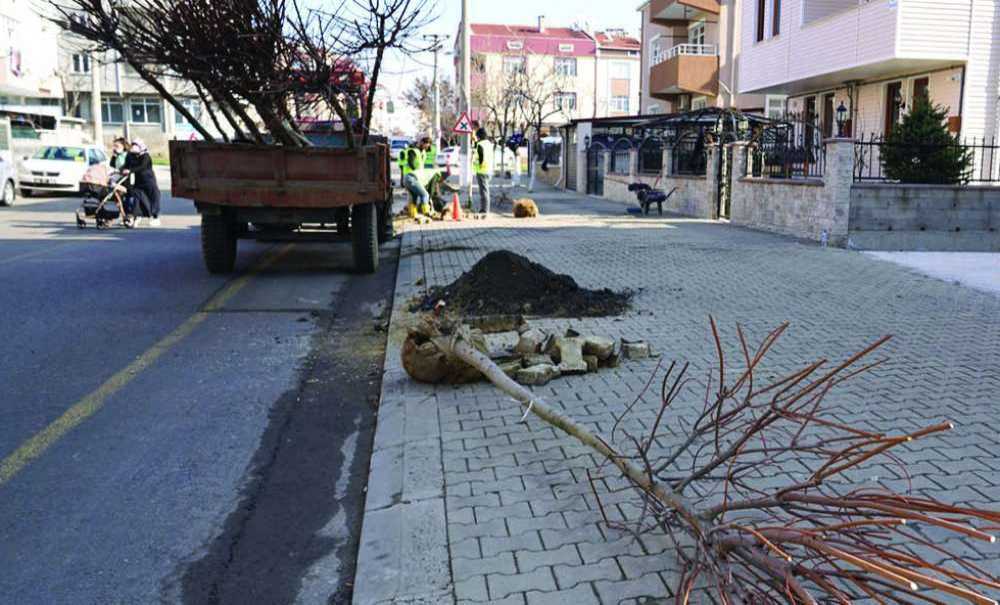 Çorlu'da Ağaçlandırma Çalışmaları Sürüyor