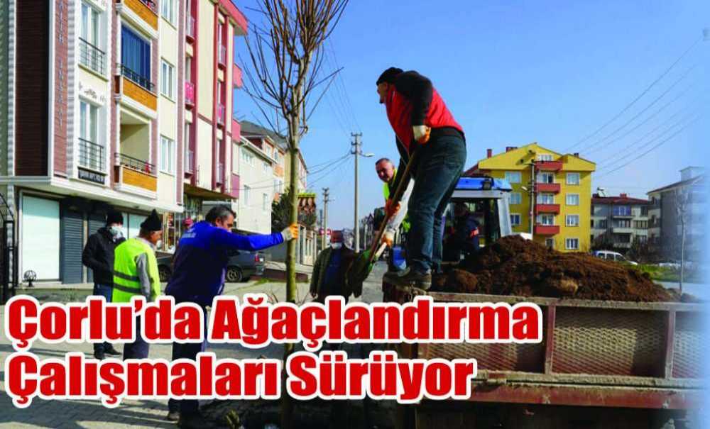 Çorlu'da Ağaçlandırma Çalışmaları Sürüyor
