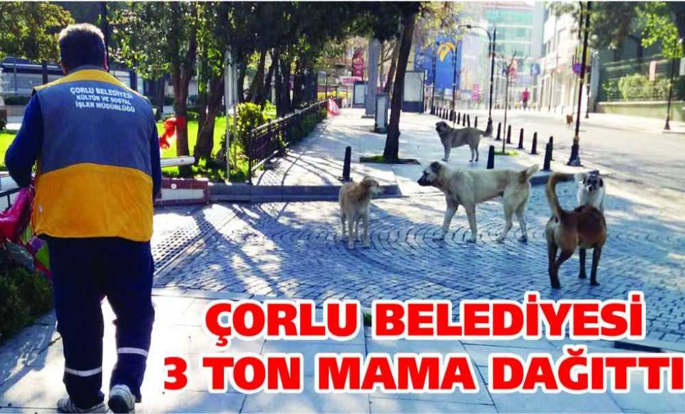 Çorlu Belediyesi 3 Ton Mama Dağıttı