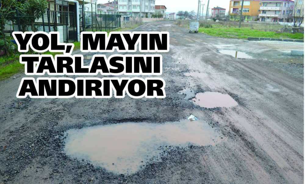 Yol, Mayın Tarlasını Andırıyor