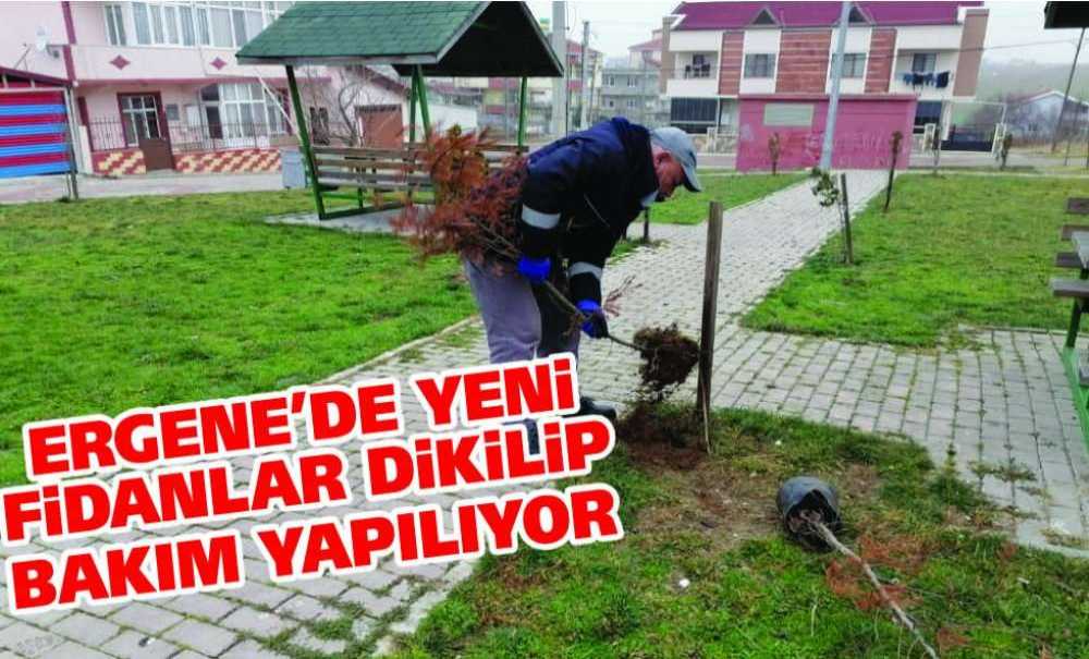 Ergene'de Yeni Fidanlar Dikilip Bakım Yapılıyor
