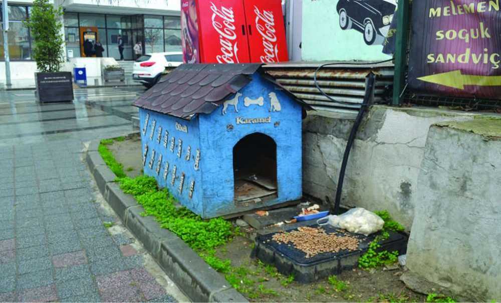 Refüjde Yeni Düzenleme Yapıldı