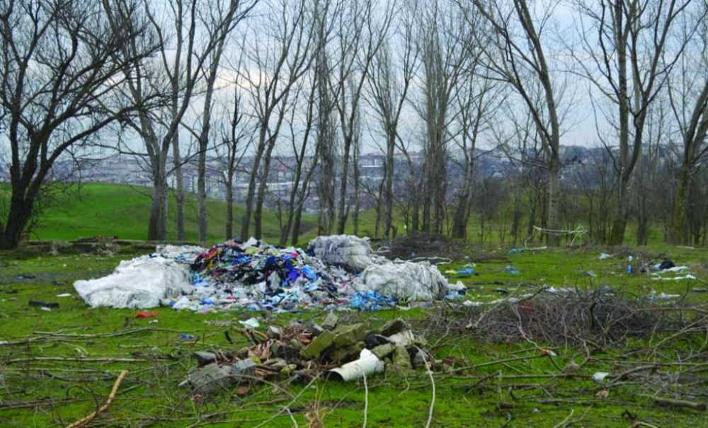 Yüzlerce Dönümlük Yeşil Alana Sahip Çıkılsın!!!