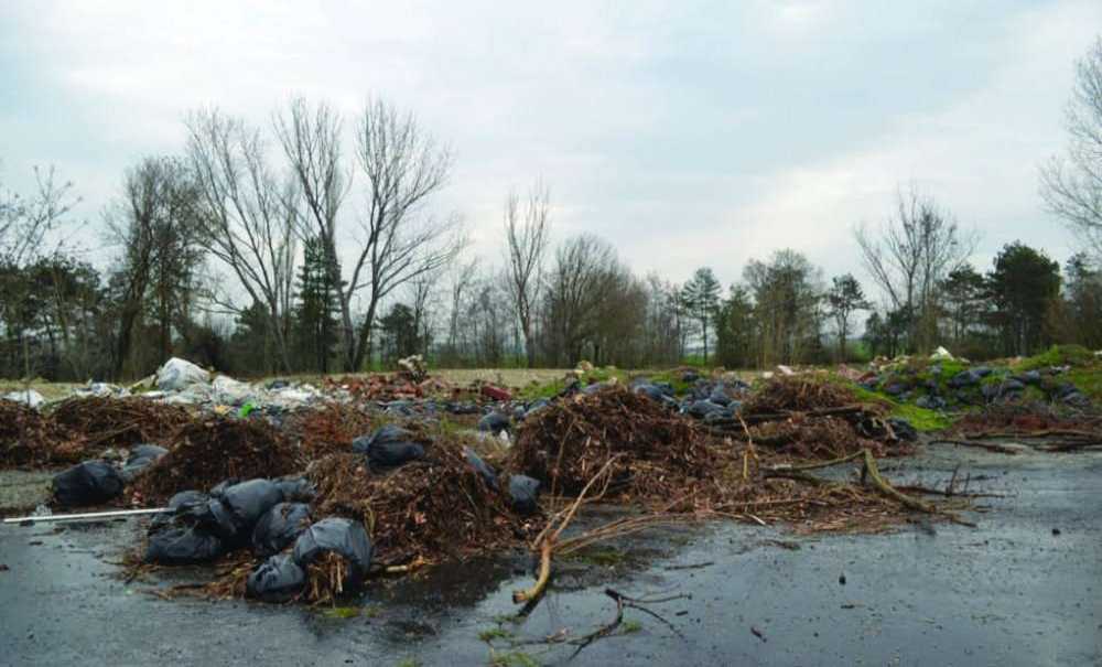 Yüzlerce Dönümlük Yeşil Alana Sahip Çıkılsın!!!