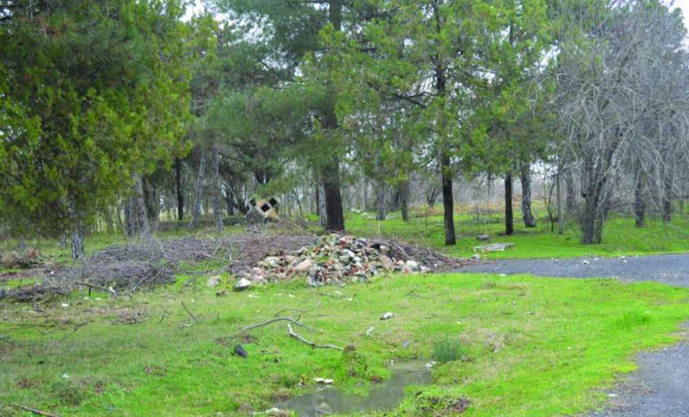 Yüzlerce Dönümlük Yeşil Alana Sahip Çıkılsın!!!