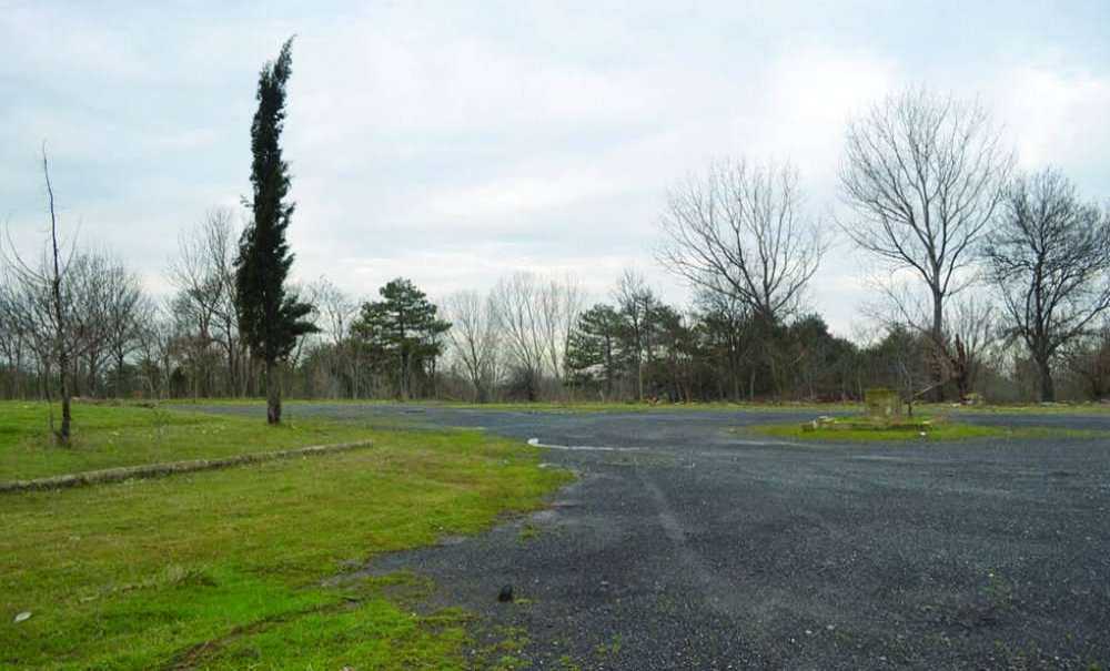 Yüzlerce Dönümlük Yeşil Alana Sahip Çıkılsın!!!