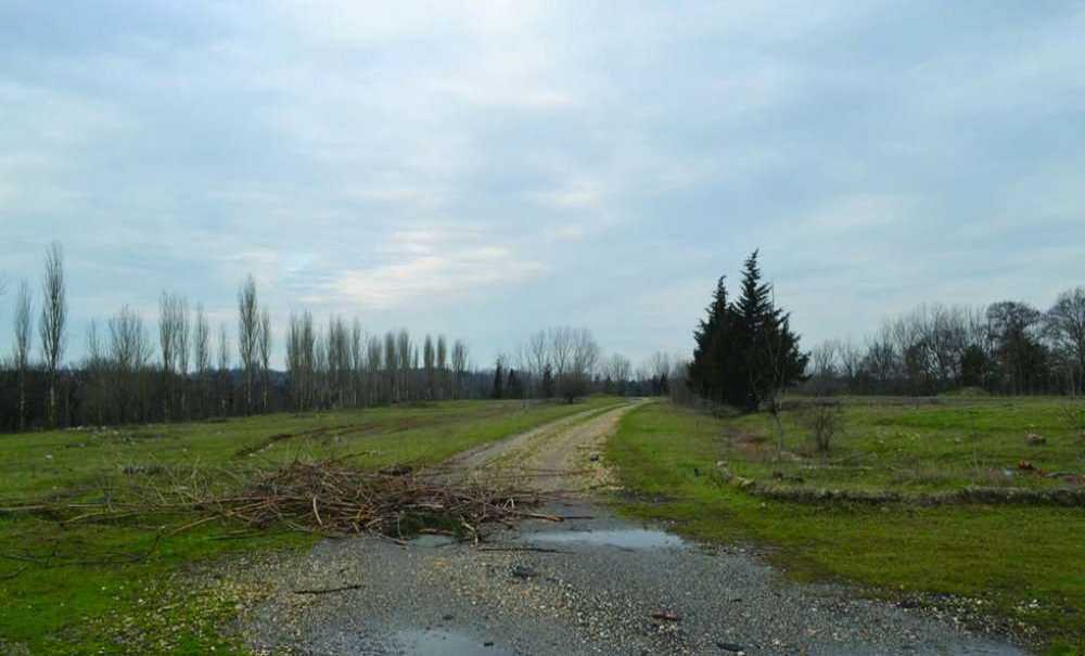 Yüzlerce Dönümlük Yeşil Alana Sahip Çıkılsın!!!