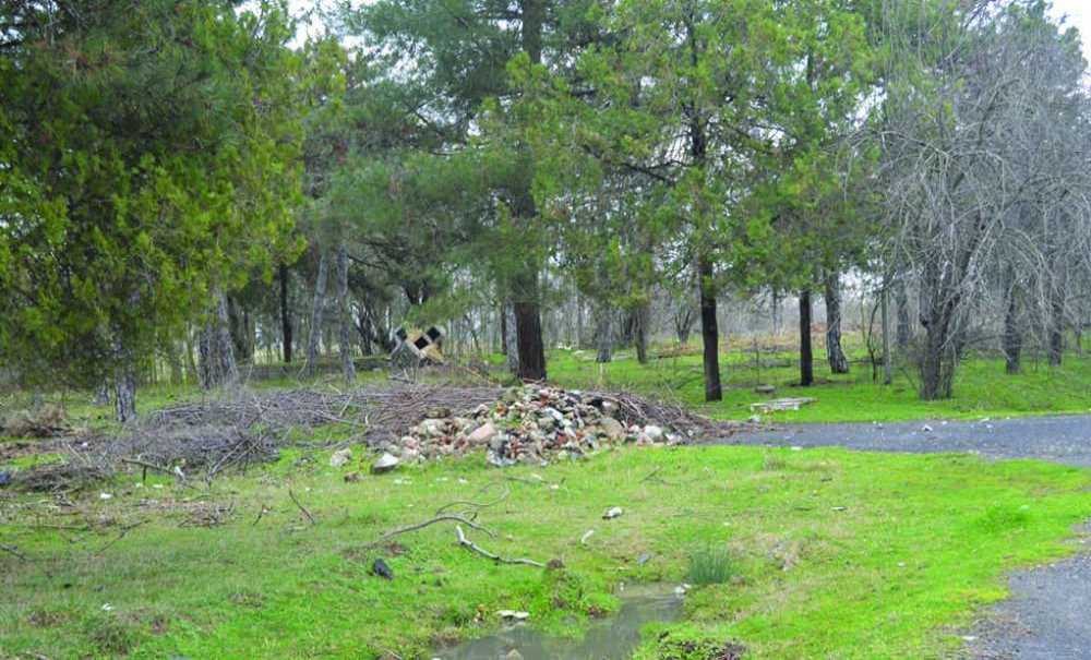 Yüzlerce Dönümlük Yeşil Alana Sahip Çıkılsın!!!