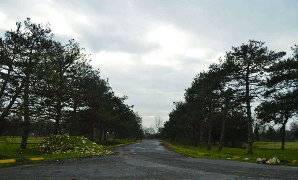 Yüzlerce Dönümlük Yeşil Alana Sahip Çıkılsın!!!