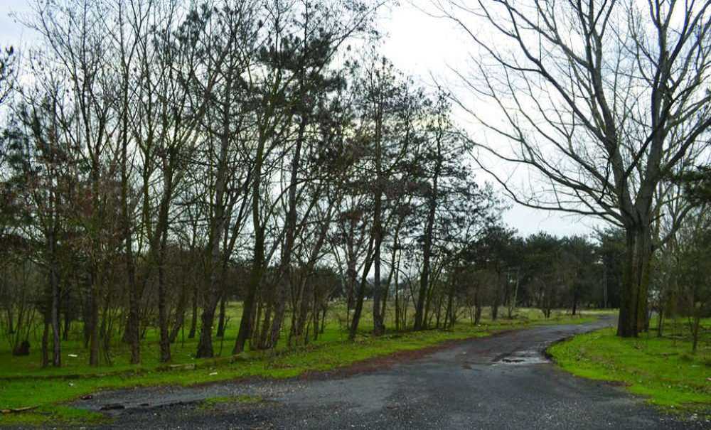 Yüzlerce Dönümlük Yeşil Alana Sahip Çıkılsın!!!