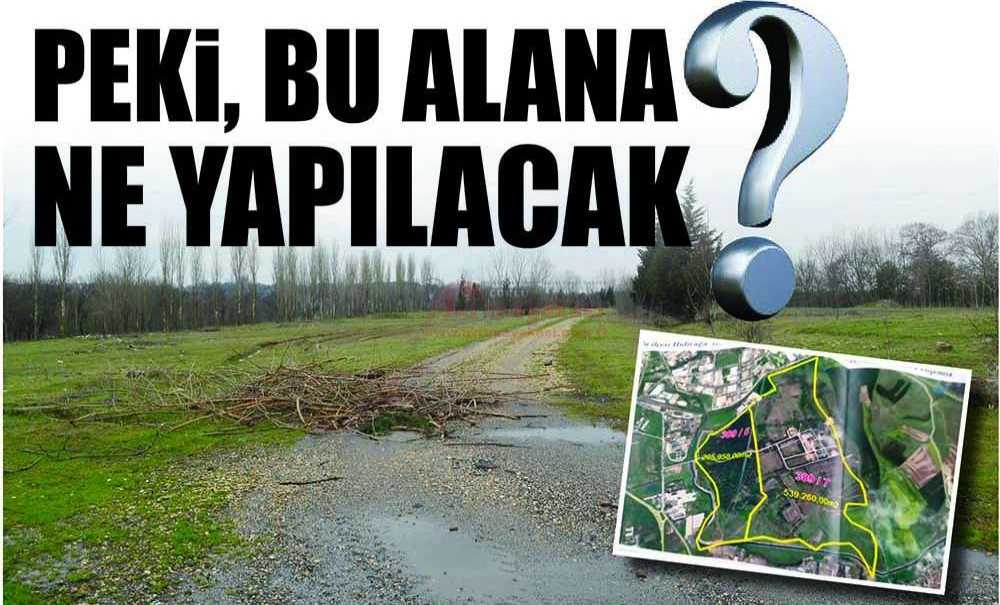 Peki, Bu Alana Ne Yapılacak?