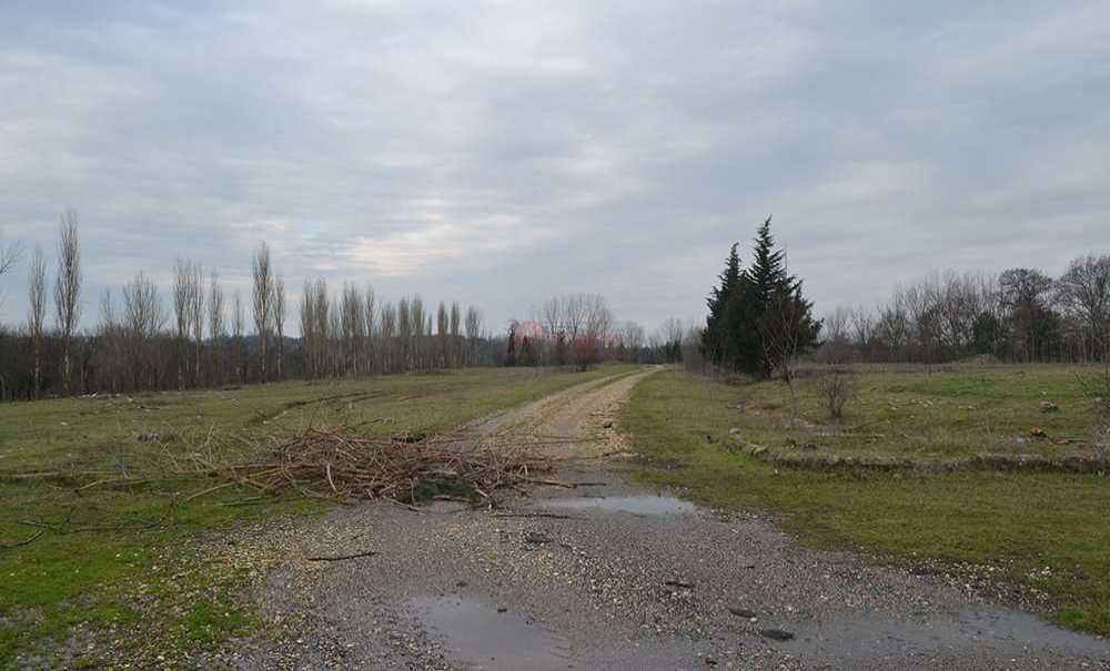 Peki, Bu Alana Ne Yapılacak?