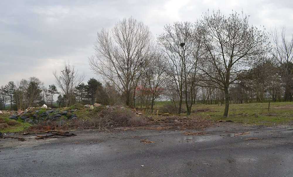 Peki, Bu Alana Ne Yapılacak?