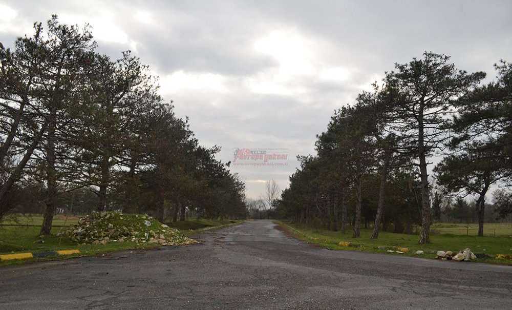 Peki, Bu Alana Ne Yapılacak?