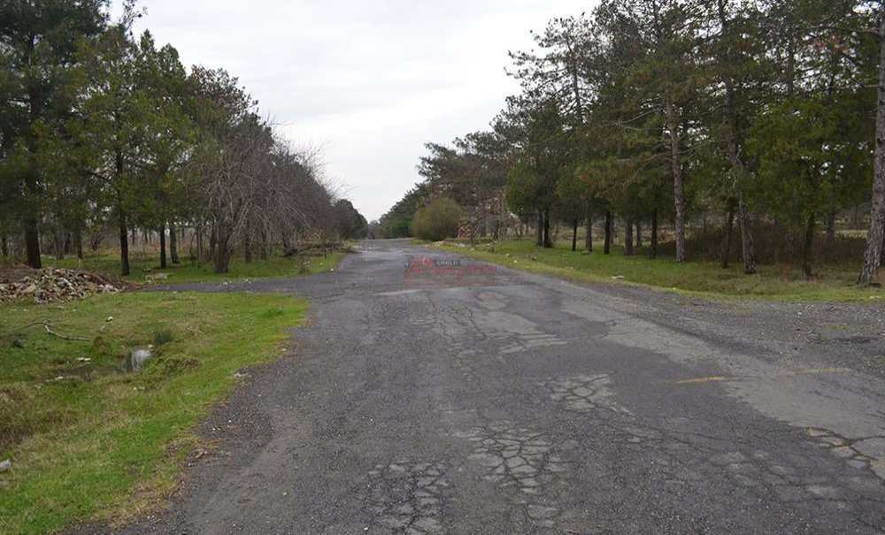 Peki, Bu Alana Ne Yapılacak?