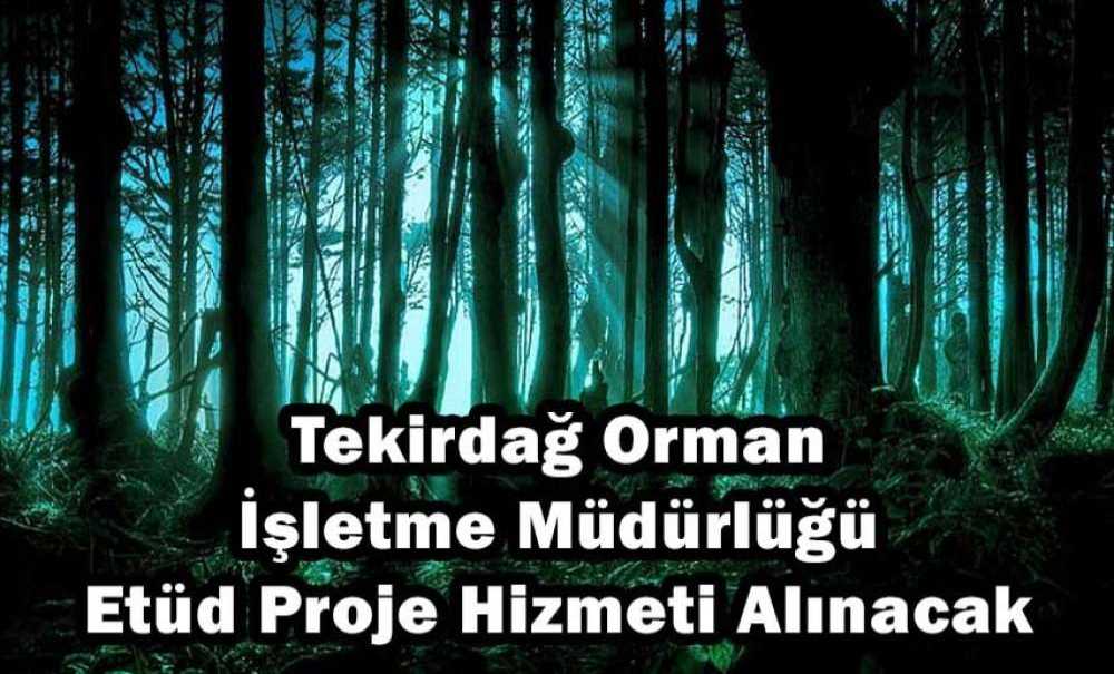 Etüd Proje Hizmeti Alınacak