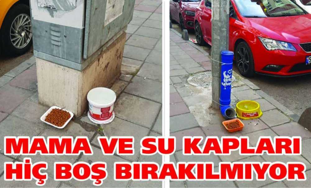 Mama Ve Su Kapları Hiç Boş Bırakılmıyor