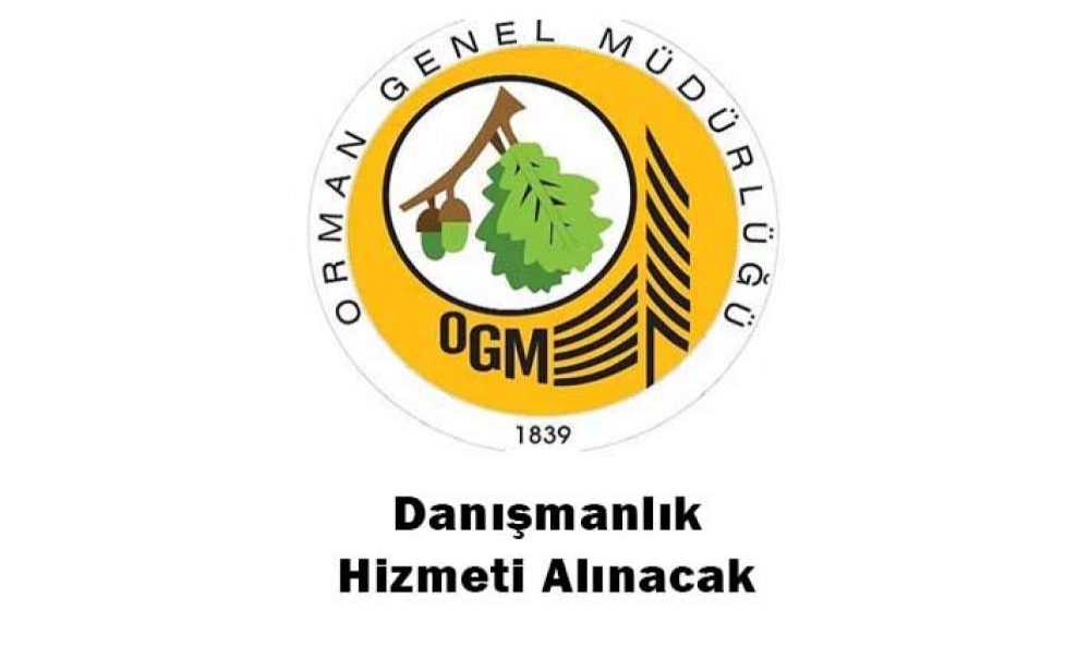 Danışmanlık Hizmet Alınacak