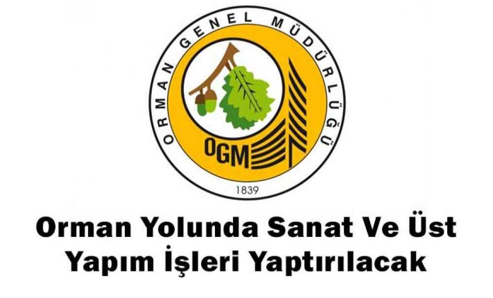 Orman Yolunda Sanat Ve Üst Yapım İşleri Yaptırılacak