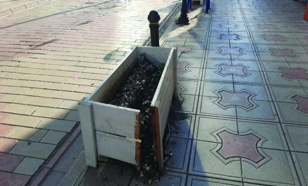 Saksılara Ya Çöp Atılıyor Yada Zarar Veriliyor