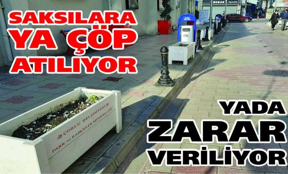 Saksılara Ya Çöp Atılıyor Yada Zarar Veriliyor