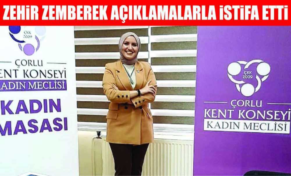 Zehir Zemberek Açıklamalarla İstifa Etti