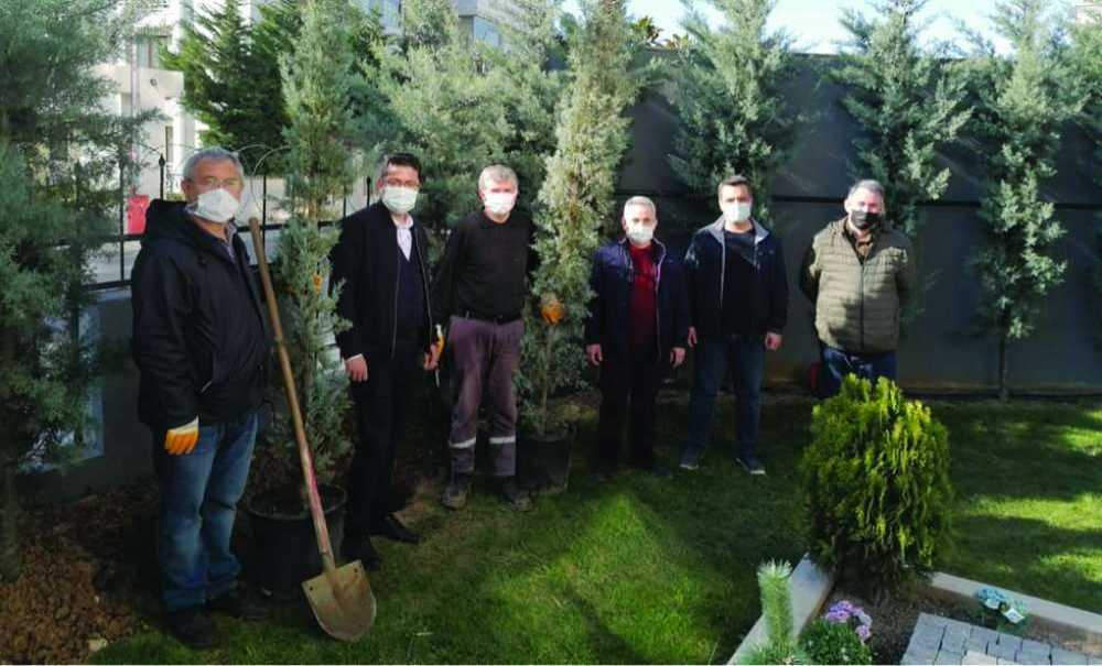 Şelale Park Sitesi 110 Adet Ağaç Dikti