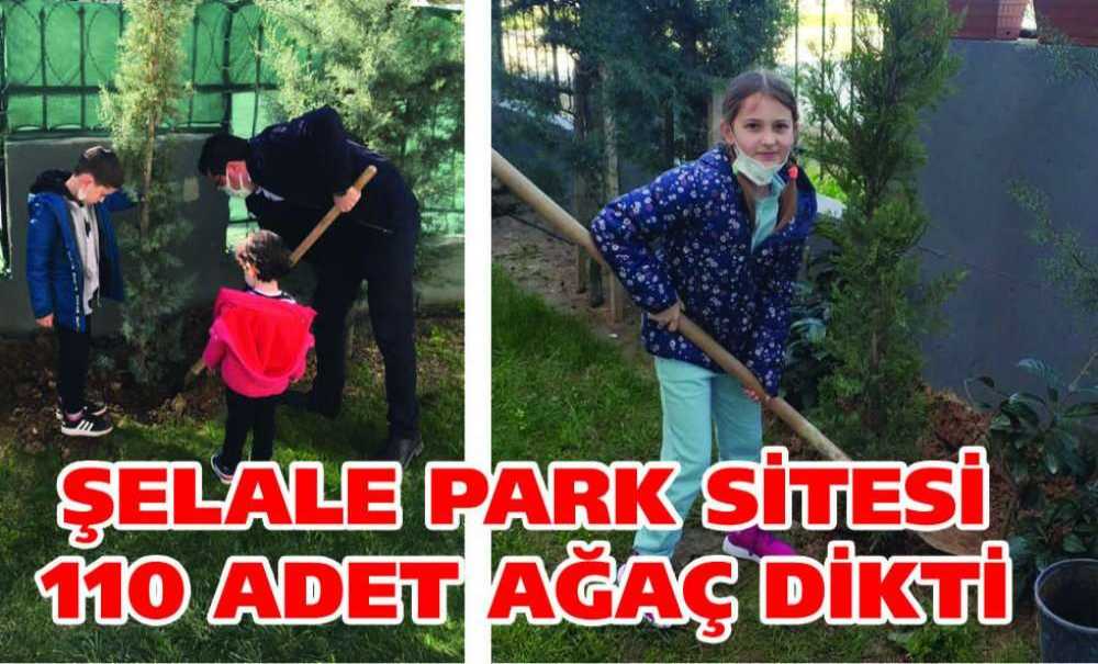 Şelale Park Sitesi 110 Adet Ağaç Dikti