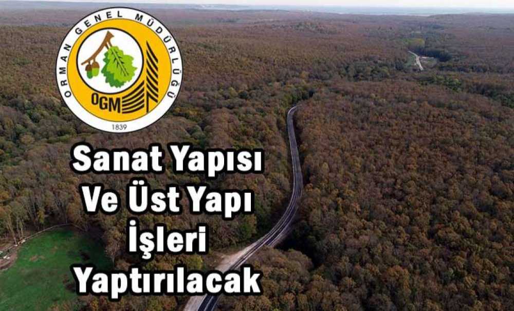 Sanat Yapısı Ve Üst Yapı İşleri Yaptırılacak