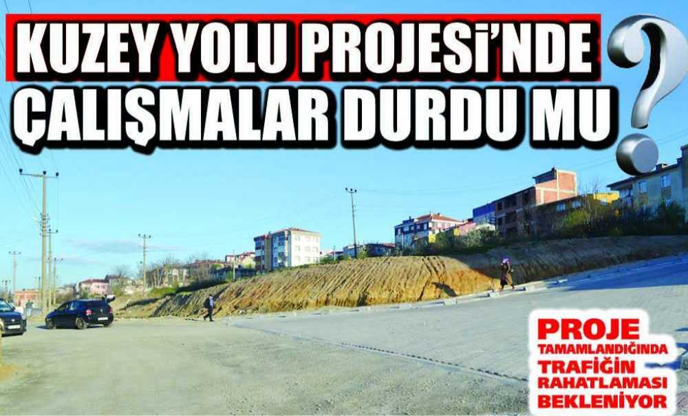 Kuzey Yolu Projesi'nde Çalışmalar Durdu Mu?