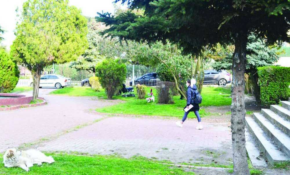 Madde Bağımlıları Olmayınca Park Vatandaşlara Kaldı