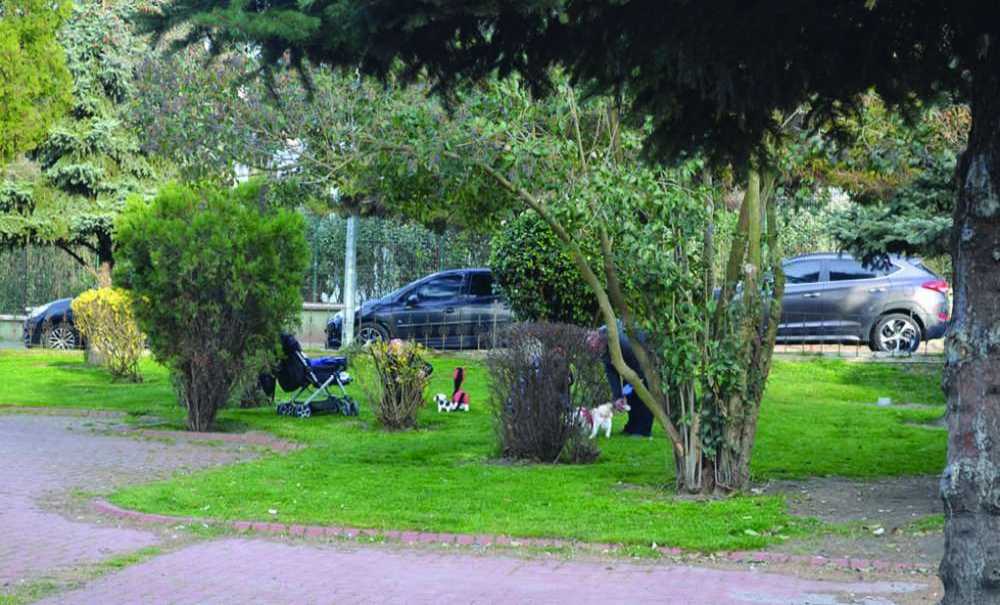 Madde Bağımlıları Olmayınca Park Vatandaşlara Kaldı