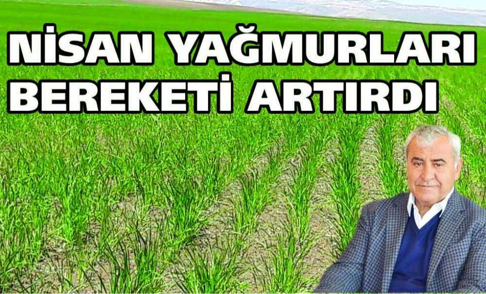 Nisan Yağmurları Bereketi Artırdı