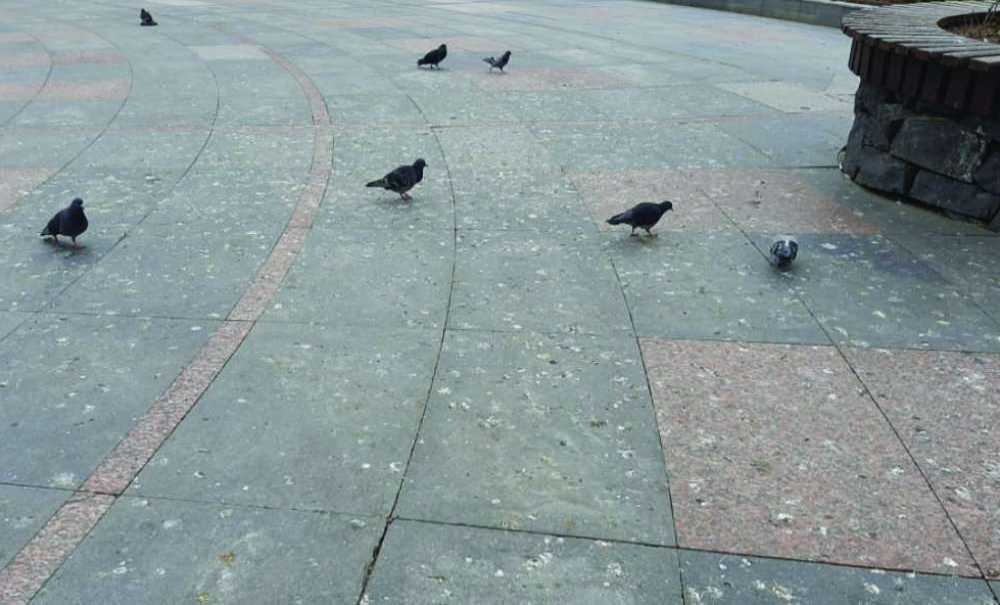 Yüzlerce Çocuğun Oyun Oynadığı Meydan Pislik İçinde