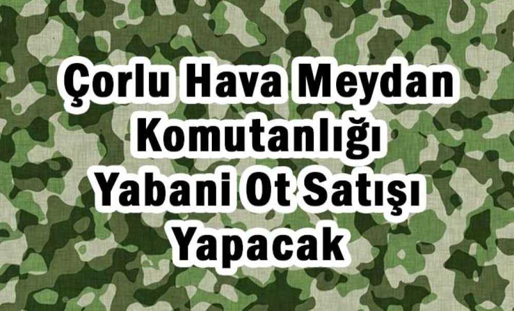 Yabani Ot Satışı Yapılacak