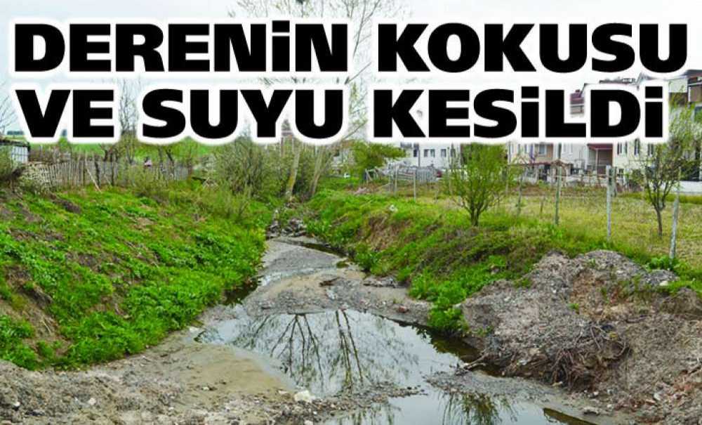 Derenin Kokusu Ve Suyu Kesildi