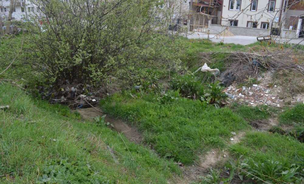 Derenin Kokusu Ve Suyu Kesildi