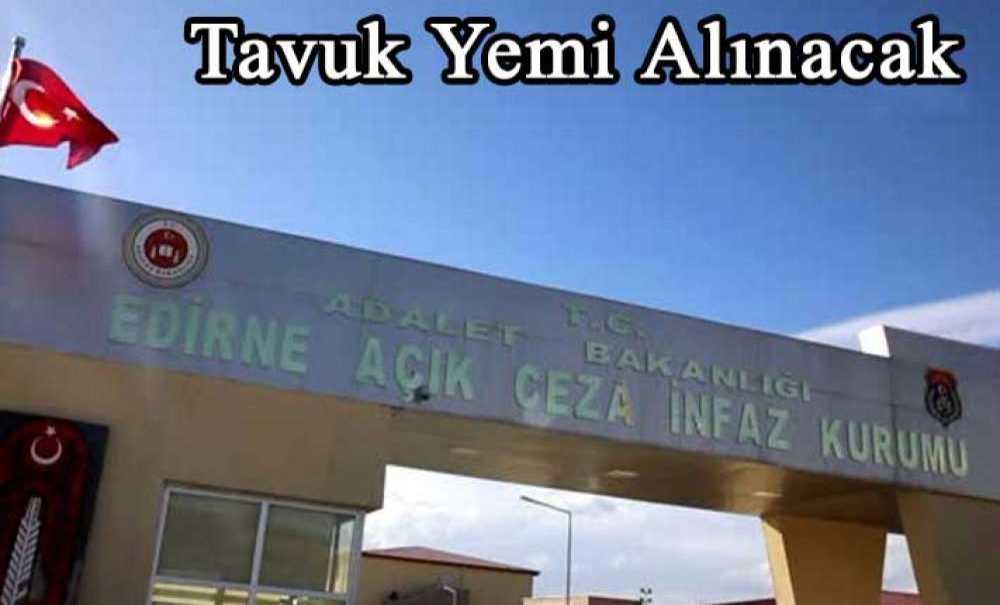 Tavuk Yemi Alınacak