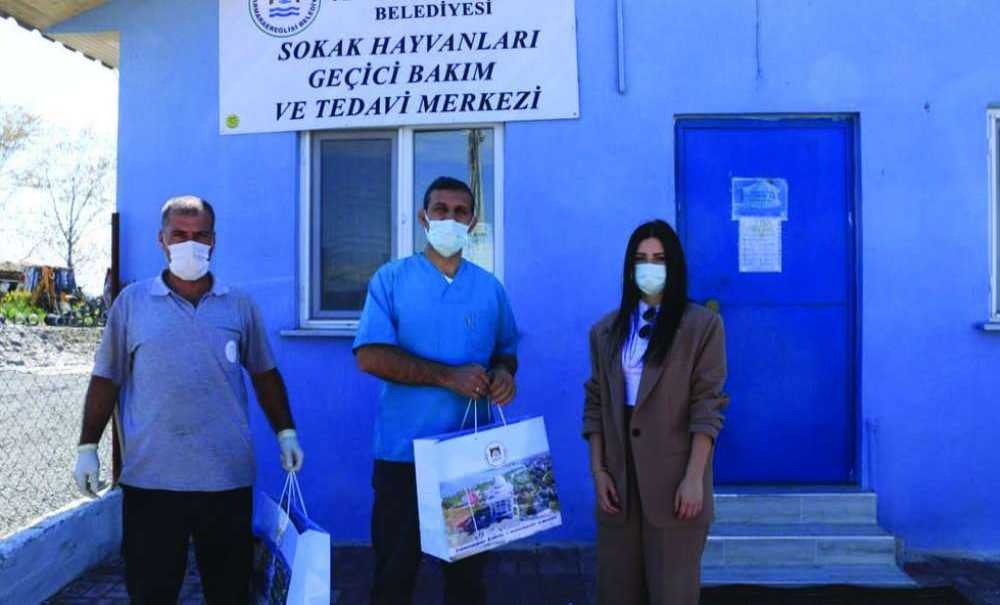 Marmaraereğlisi Belediyesi Veteriner Hekimleri Unutmadı