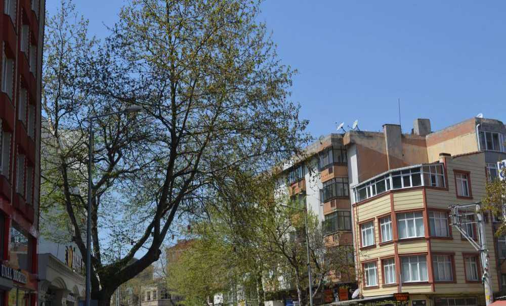 Tredaş Neden Otogara Kadar Çalışma Yapmadı?