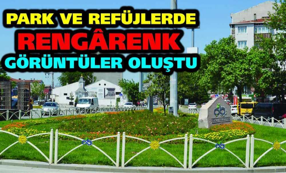 Park Ve Refüjlerde Rengârenk Görüntüler Oluştu