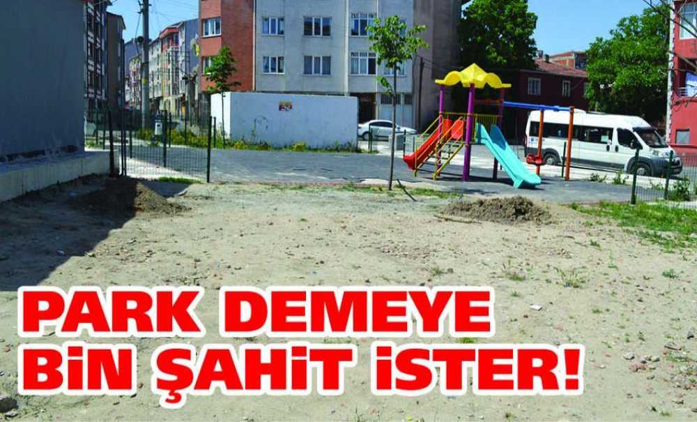Park Demeye Bin Şahit İster!