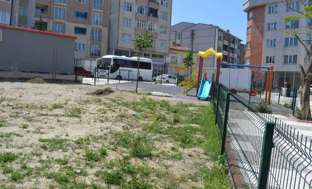 Park Demeye Bin Şahit İster!