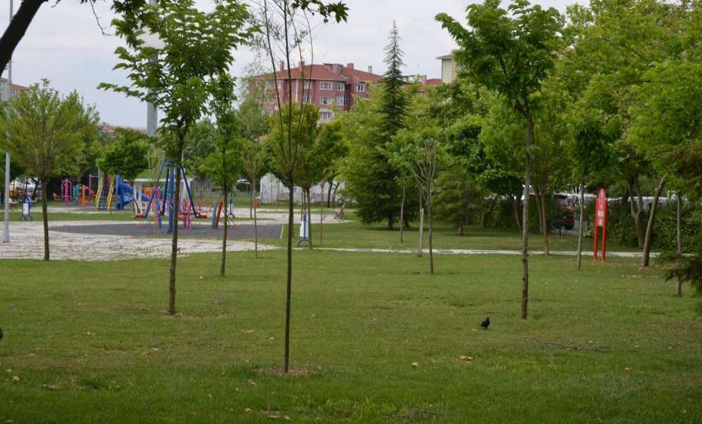 Parkların Temizliği Dikkat Çekiyor