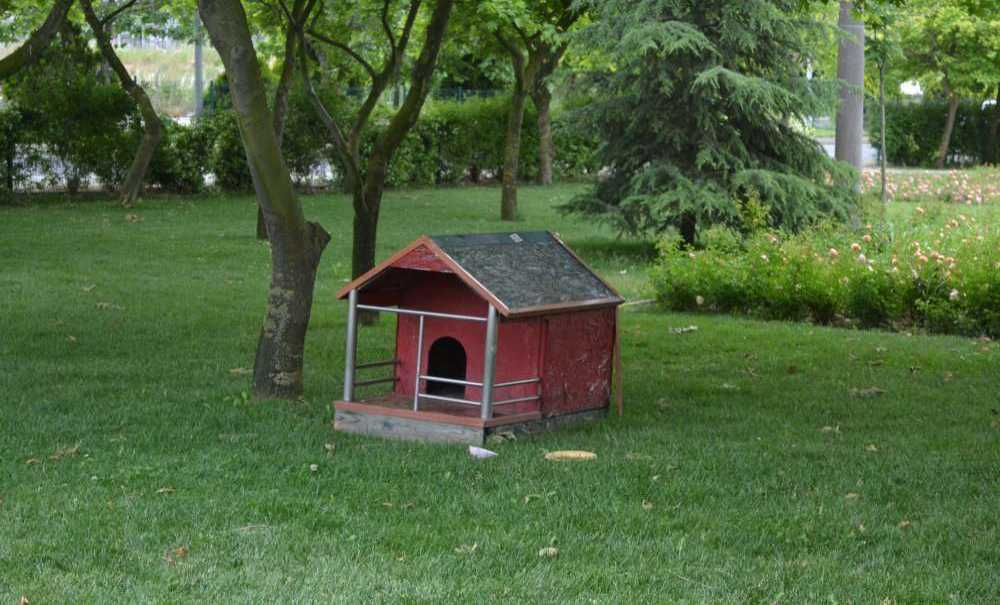 Parkların Temizliği Dikkat Çekiyor