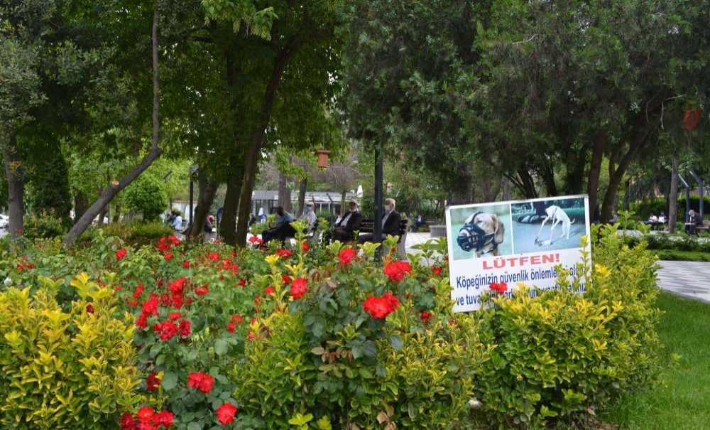 Parkların Temizliği Dikkat Çekiyor