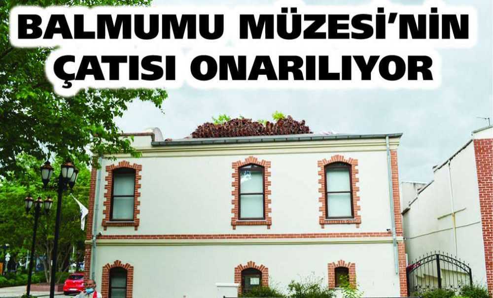 Balmumu Müzesi'nin Çatısı Onarılıyor