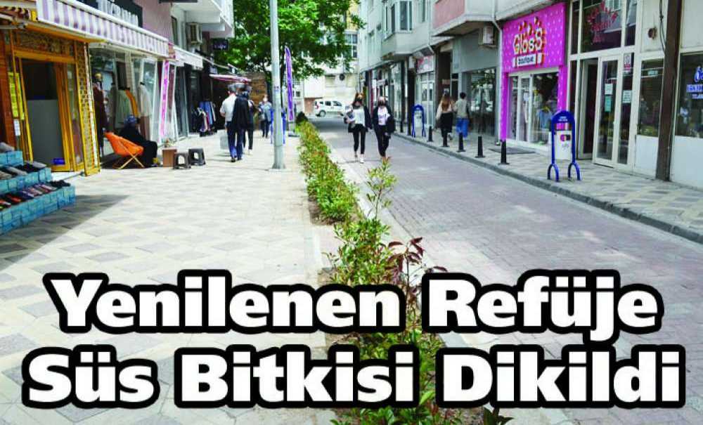 Yenilenen Refüje Süs Bitkisi Dikildi