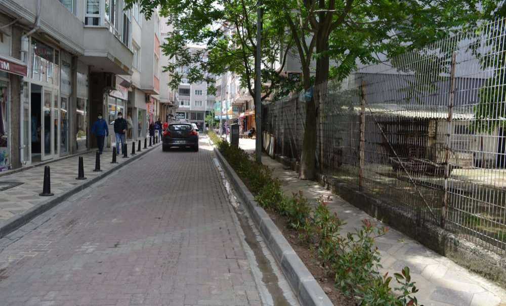 Yenilenen Refüje Süs Bitkisi Dikildi