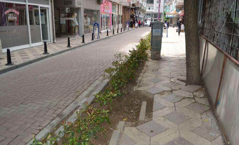 Yenilenen Refüje Süs Bitkisi Dikildi